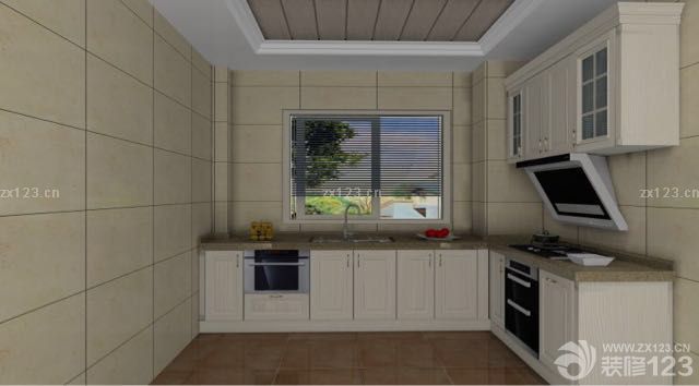 定好欧派的橱柜13800，买好水槽、方太的抽油烟机、灶具、蒸箱11000…附赠厨房效果图一张！