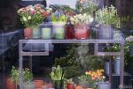 花店橱窗花架设计效果图