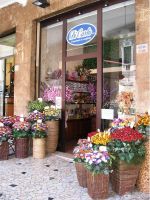 花店店面门头橱窗设计效果图