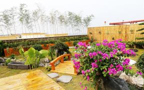 家庭屋顶花园图片