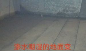 电渗透防潮 地下室长久干燥