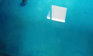 72小时闭水试验