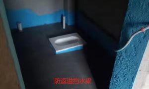 中迪公馆卫生间施工工艺